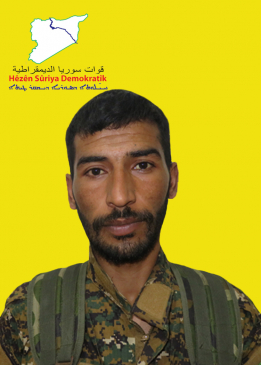 أسمر زاغروس