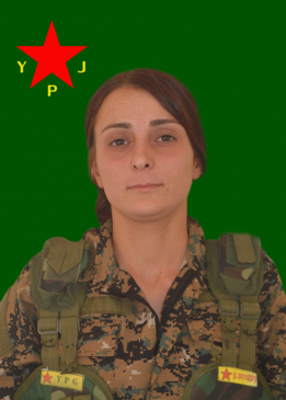 Güneş Botan