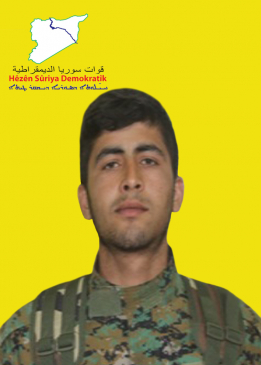حميد علي شار