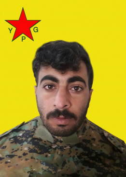Mehmud Xelif