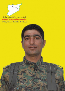مرفان تولهلدان