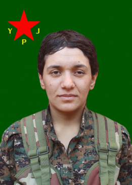 نوجان هارون