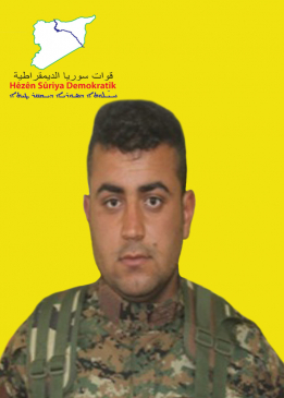 قنديل كرك