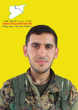 Reber Ronahî