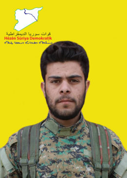 Renas Hesekê