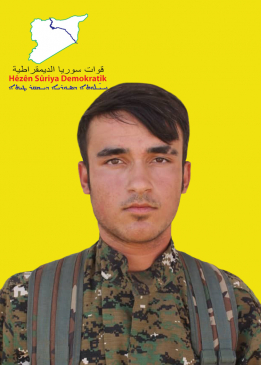 Rohat Hesekê