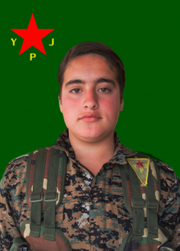 Rojava Şebe