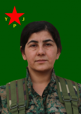 Ronahî Gewda