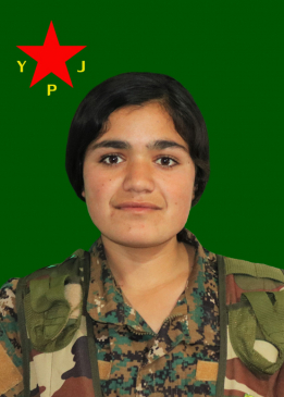Ronahî Rodî