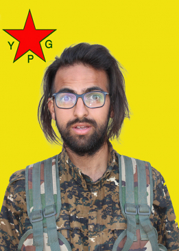 Şahîn Qereçox