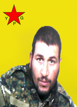شاهين شدادي