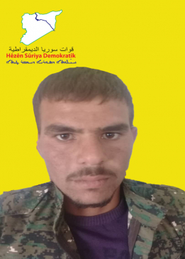 شاهين شدادي