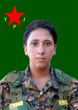 سارة تكوشين
