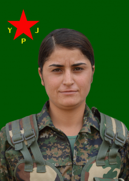 سارة تيريج