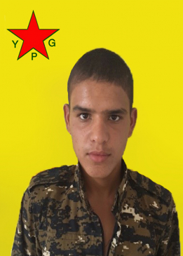 Sef Serekanî