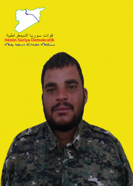 سلمان شدادي