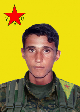 Serdar Şedadê