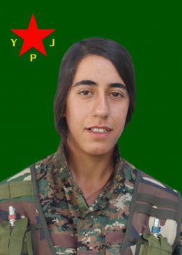 Sîlvan İntîqam