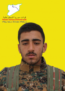 Şoreş Hesekê