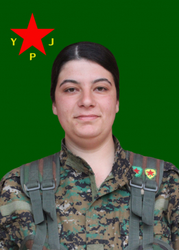 Timaf Serbilind