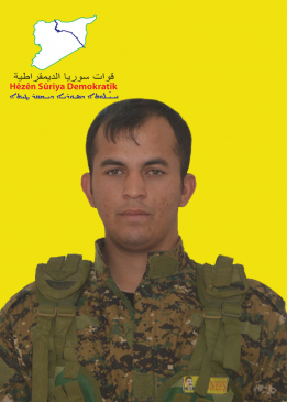 زانا آمد