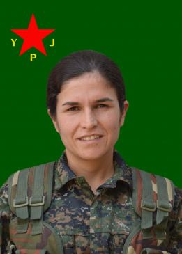 زين أمارة