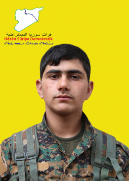 زنار عفرين