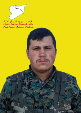 أحمد حلب