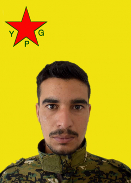 فرهاد سدي