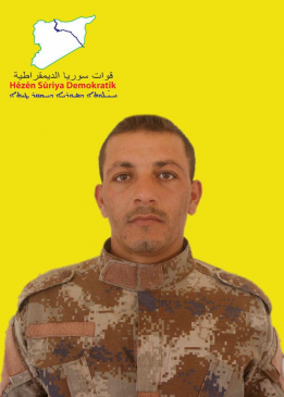 فداء شهباء