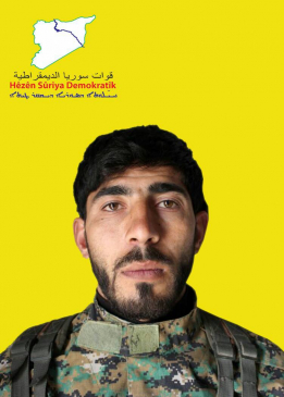 هاوار حلب