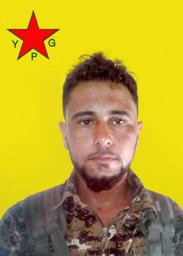حلب شدادي