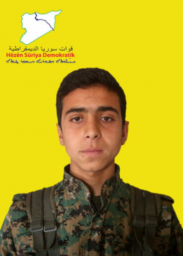 Hiniş Efrîn