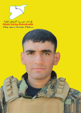 Îlan Dara Kobanê