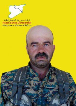 نمر شيروا