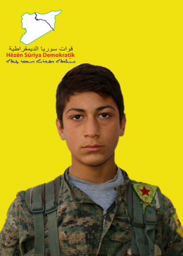 Ocalan Efrîn