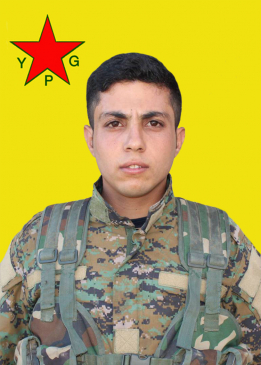 Omer Tirbêsipiyê