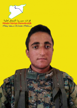 Peşeng Efrîn