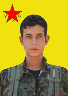 Polat Efrîn
