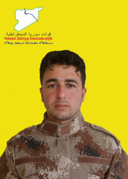 رودين عفرين