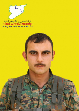 روجهات شيروا