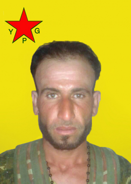 روني شدادي