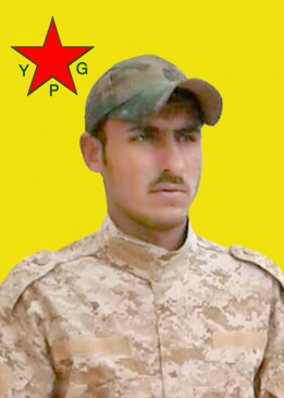 Şahîn Hesekê
