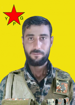 Şahîn Şedade