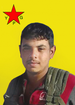 Şahîn Taban