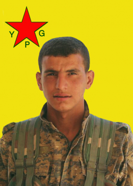 Şengal Hesekê