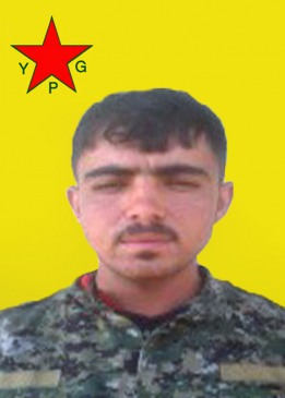 Şengal Hesekê