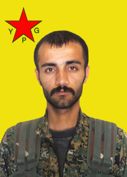 Serhed Agirî