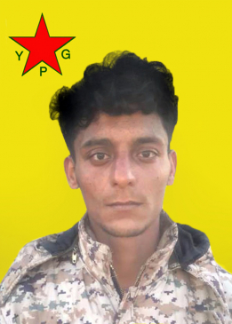 Zagros Ciburî