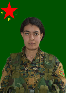 Bêrîvan Cudî